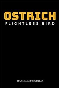 Ostrich Flightless Bird