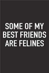 Some of My Best Friends Are Felines