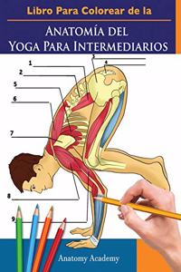 Libro Para Colorear de la Anatomía del Yoga Para Intermediarios