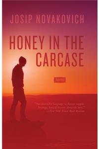 Honey in the Carcase