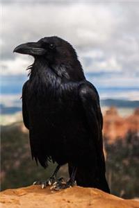 Regal Black Hawk Perched on a Cliff