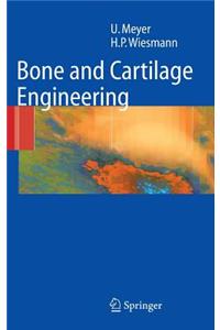 Bone and Cartilage Engineering