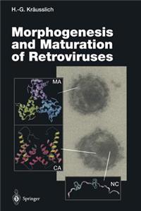 Morphogenesis and Maturation of Retroviruses