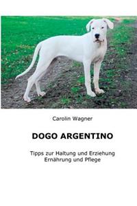 Dogo Argentino