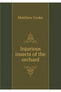 Injurious Insects of the Orchard