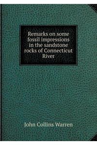 Remarks on Some Fossil Impressions in the Sandstone Rocks of Connecticut River