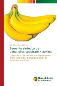 Semente sintética de bananeira