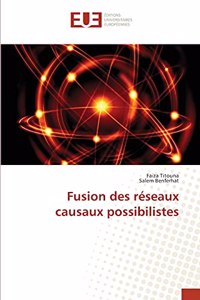 Fusion des réseaux causaux possibilistes