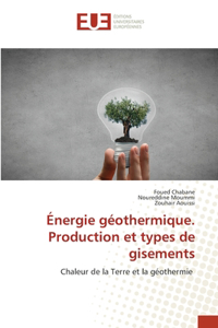 Énergie géothermique. Production et types de gisements