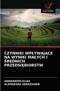 Czynniki WplywajĄce Na Wyniki Malych I Średnich PrzedsiĘbiorstw