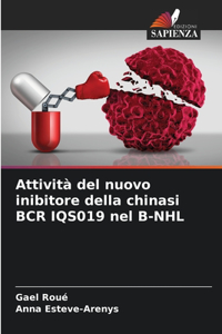 Attività del nuovo inibitore della chinasi BCR IQS019 nel B-NHL