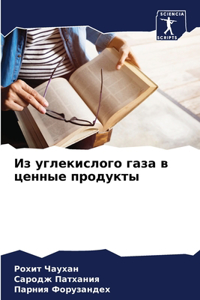 Из углекислого газа в ценные продукты