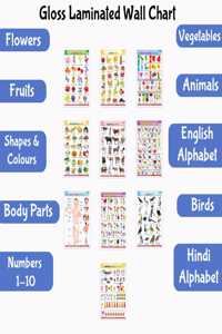 Educational English-Hindi Posters for Kids : Pack of 10 Gloss Laminated Charts Covering Alphabet, Fruits, Vegetables, Animals, Birds, Body Parts, Numbers, Hindi Varnmala, Shapes, Colours, and Flowers
