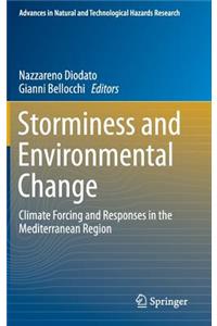 Storminess and Environmental Change