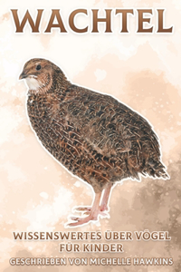 Wachtel