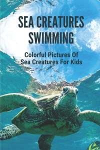 Sea Creatures Swimming