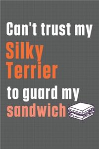 Can't trust my Silky Terrier to guard my sandwich