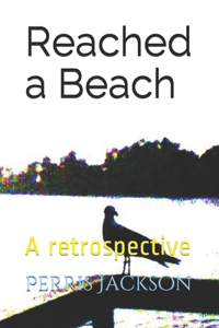 Reached a Beach