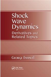 Shock Wave Dynamics