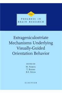 Extrageniculostriate Mechanisms Underlying Visually-Guided Orientation Behavior: Volume 112