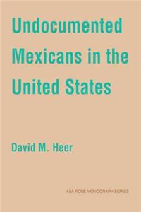 Undocumented Mexicans in the USA