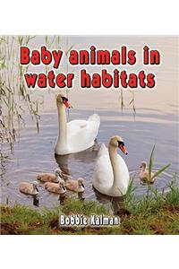 Baby Animals in Water Habitats