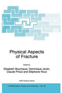 Physical Aspects of Fracture