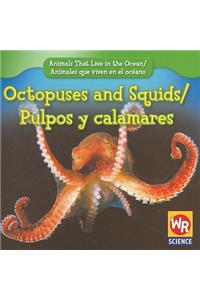 Octopuses and Squids / Pulpos Y Calamares