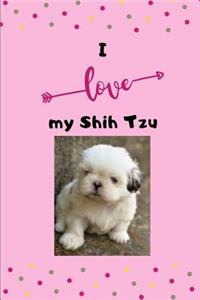 I love my Shih Tzu