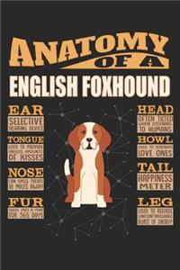 Anatomy Of A English Foxhound