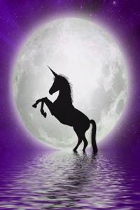 Unicorn Moon Notebook