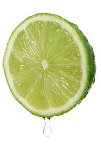 Diet Notebook - Best Notebook with Quotes, Perfect 120 Lined Pages #2