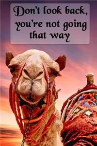 Don't Look Back, You're Not Going That Way