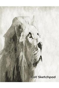 Cat Sketchpad