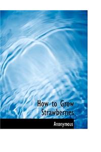 How to Grow Strawberries