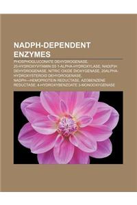 Nadph-Dependent Enzymes