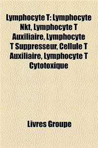 Lymphocyte T