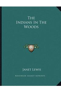 The Indians In The Woods