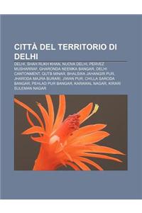 Citta del Territorio Di Delhi