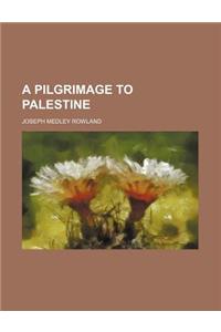 A Pilgrimage to Palestine