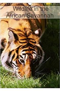 Wildlife in the African Savannah 2018