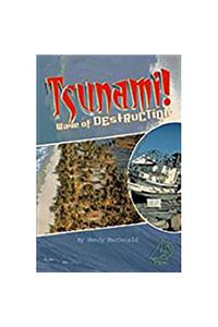 Tsunami! Wave of Destruction