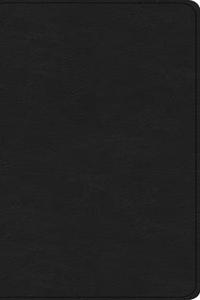 CSB Share Jesus Without Fear New Testament, Brown