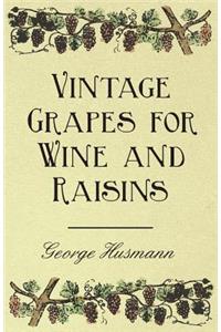 Vintage Grapes for Wine and Raisins