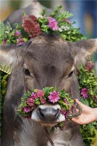 A Flower-Bedecked Cow inn Appenzellerland Switzerland