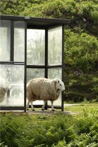 A White Sheep at the Bus Stop Journal