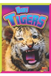 Baby Tigers