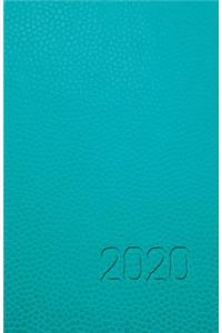 otro Post Data, Agenda 2020 turquesa