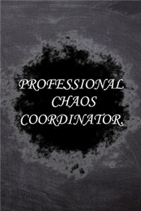 Professional Chaos Coordinator