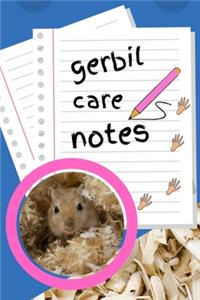 Gerbil Care Notes